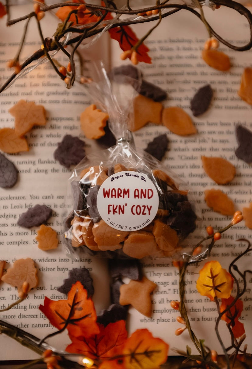 Warm and Fkn’ Cozy Wax Melts